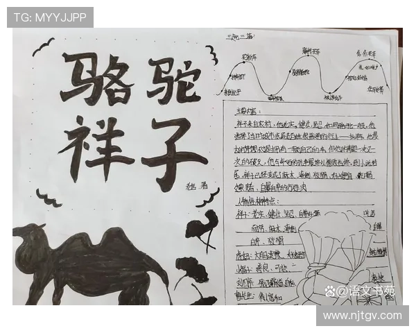 追忆绿茵传奇足球明星的小卡片情怀与故事分享 追忆绿茵传奇足球明星的小卡片情怀与故事分享