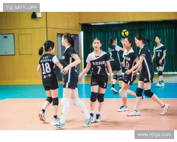 南京排球队在全国排球比赛经验排行榜中荣获第九名的辉煌成就